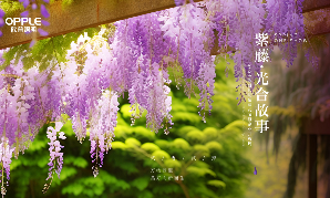 2024HJC黄金城紫藤花节暨企业开放周开幕：技术驱动，生生不息